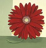 Remembrance In Red