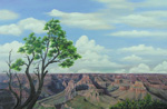The Grand Canyon